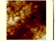 АСМ-изображение-участка-.100-х-100-мкм-одноклеточных-дрожевых-грибов-сахаромицетов-Saccharomyces-cerevisiae-.-jpg.jpg