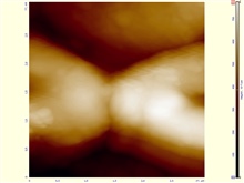 АСМ-изображение-участка-3-х-3-мкм-одноклеточных-дрожевых-грибов-сахаромицетов-Saccharomyces-cerevisiae-.-jpg.jpg