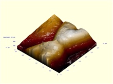 Квазитрехмерное-изображение-участка-.3-х-3-мкм-одноклеточных-дрожевых-грибов-сахаромицетов-Saccharomyces-cerevisiae-.-jpg.jpg