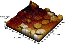 Квазитрехмерное-изображение-топологии-поверхности-участка-пленки-100-х-100-мкм-Рr3Fe5O12-2.jpg