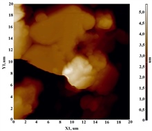 АСМ-изображение-топологии-поверхности-участка-порошка-20-х-20-мкм-Er3Fe5O12-2.jpg