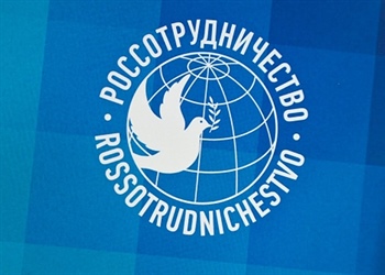 Начальник управления международных связей Нина Орлова приняла участие в онлайн-конференции Россотрудничества